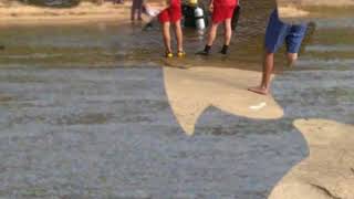 JUQUITIBA TERRA DE MUITOS AFOGAMENTOS VÍTIMA DE NUMERO 83 JUQUITIBA TERRA DE MUITOS AFOGAMENTOS VÍTIMA DE NUMERO 83