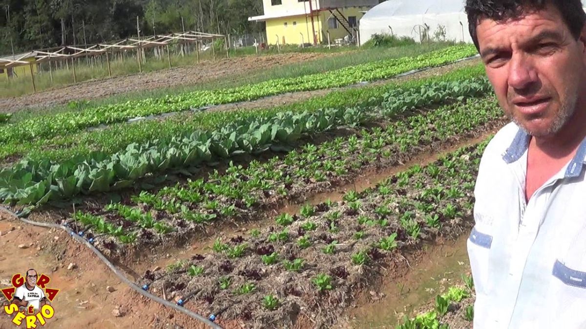 ZÉ DA SAMA O MAIOR PRODUTOR ORGANICO DE JUQUITIBA ZÉ DA SAMA O MAIOR PRODUTOR ORGANICO DE JUQUITIBA