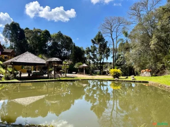 Esta chácara apresenta uma casa rústica rodeada por vegetação nativa e um lago natural, ideal para quem busca tranquilidade e contato com a natureza.