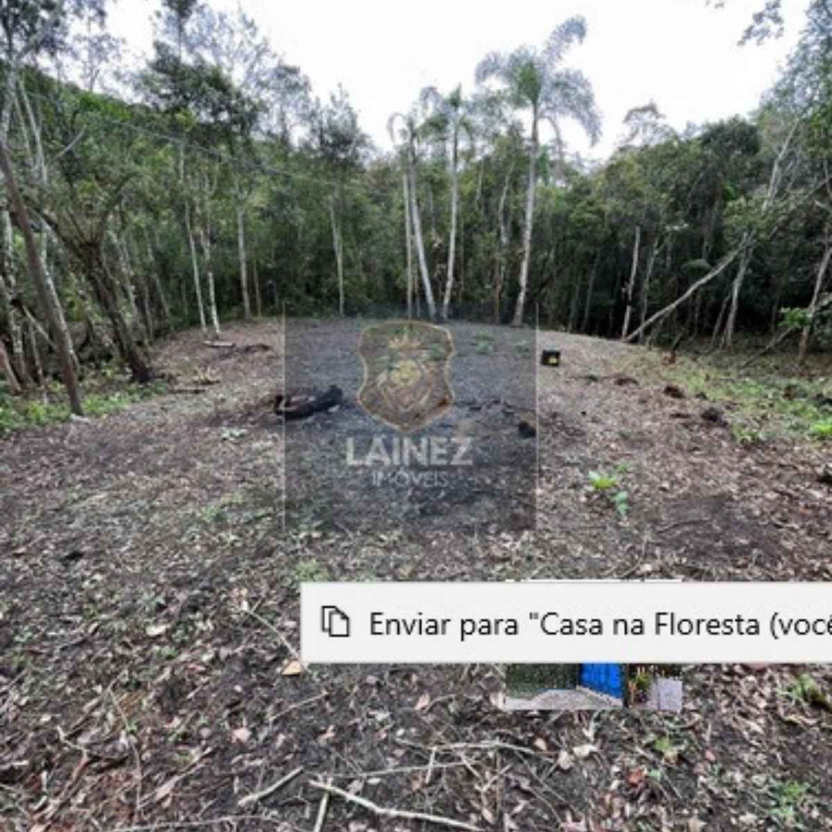Terreno Pleno de 3.300 m² com Segurança e Natureza