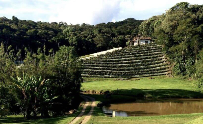 Rota do Vinho São Roque e Ibiúna