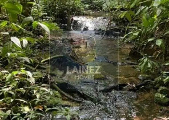 Miracatu: Terreno dos Sonhos para sua Fazenda ou Ecoturismo