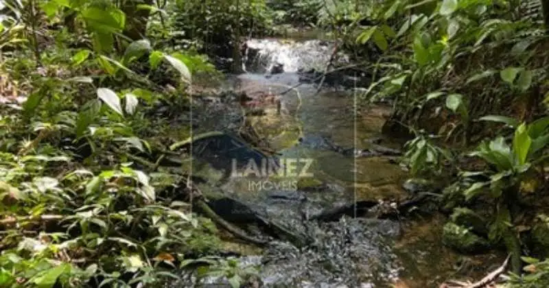 Miracatu: Terreno dos Sonhos para sua Fazenda ou Ecoturismo